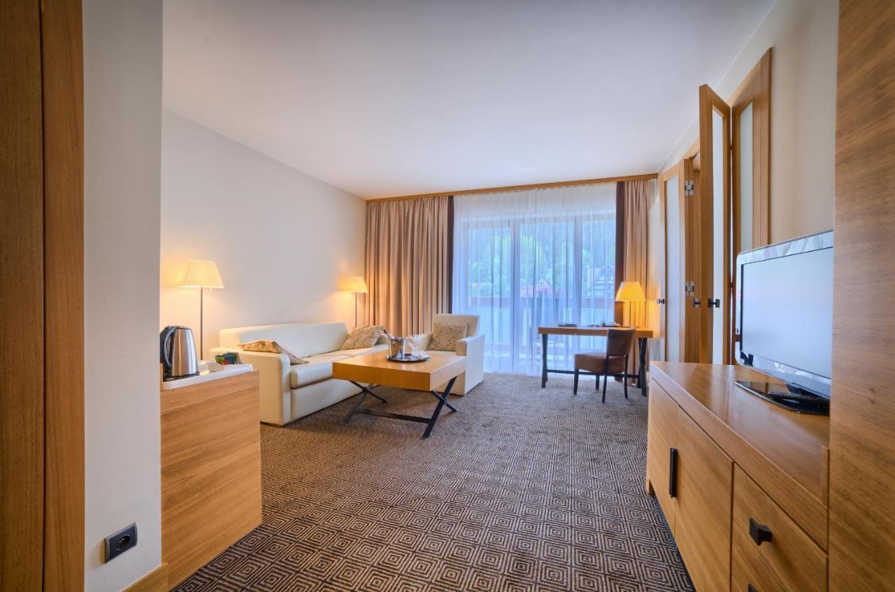 Apartament typu Suite z 1 sypialnią, łóżkiem typu queen-size i rozkładaną sofą